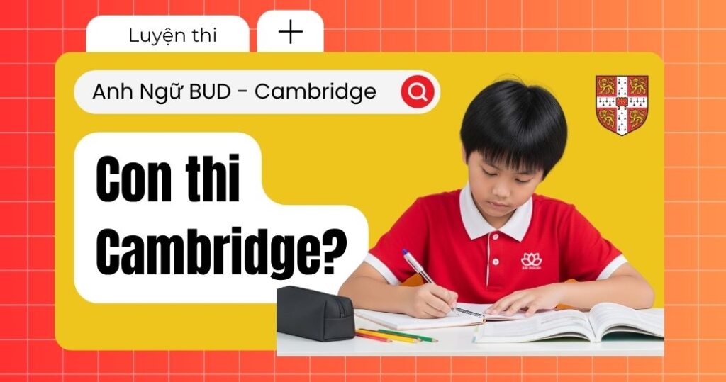 Có nên cho con thi Cambridge 7 Lợi ích không thể bỏ lỡ