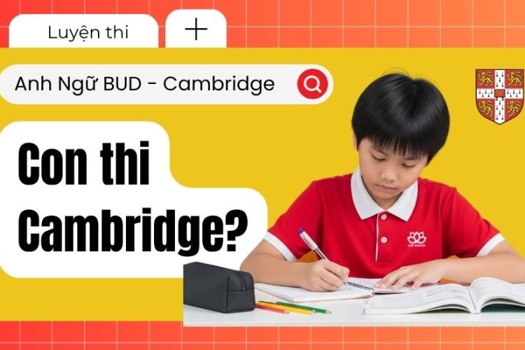 Có nên cho con thi Cambridge 7 Lợi ích không thể bỏ lỡ